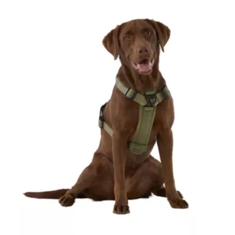 KONG Tan Dog Harness One Small and One Medium